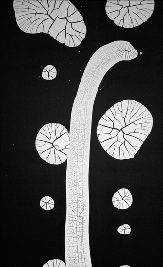 Specimen_XV