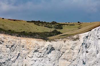 Cliffs of Dover 18