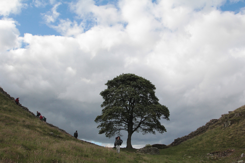 Hadrians Wall 37 