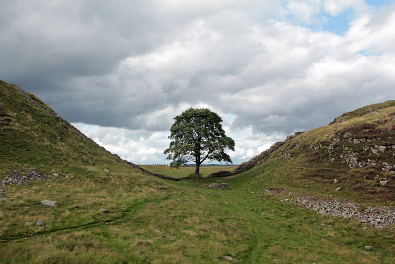 Hadrians Wall 42 