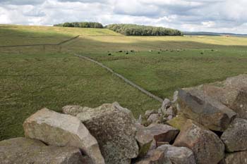 Hadrians Wall 26 