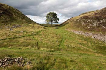 Hadrians Wall 43 